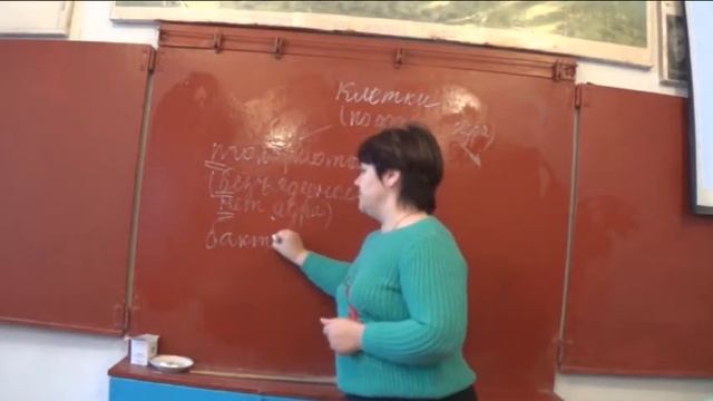 Мастер-класс "Эукариотические и прокариотические клетки" Автор: Крылова О. В. смотреть онлайн