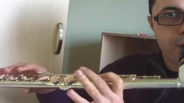 Bass Clarinet + Alto flute Hybrid ! смотреть онлайн