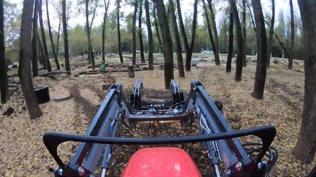 Спил деревьев в Симферополе. смотреть онлайн