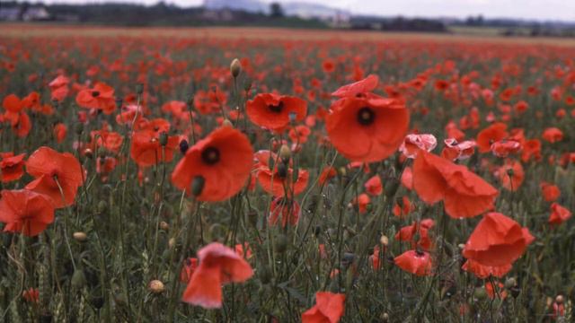 Juris Hiršs - Pusnakts princese (albums) смотреть онлайн