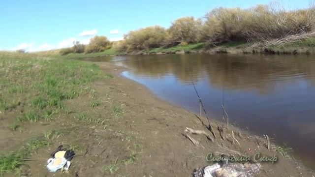 Рыбалка в Деревне Карась на Соски Щука Мордушка смотреть онлайн