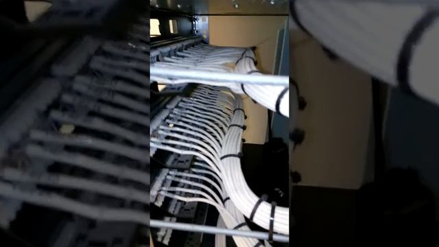 СКС, локальная сеть, UTP cat 5e №2 смотреть онлайн