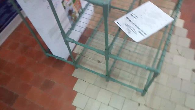 Стеллаж для рассады и цветов "Лесенка" 4 полки смотреть онлайн