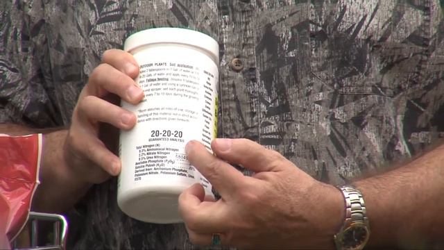 Bringing Outdoor Plants In смотреть онлайн