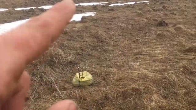 Трудовая рыбалка на реке Клязьма с моим другом Сергеем смотреть онлайн