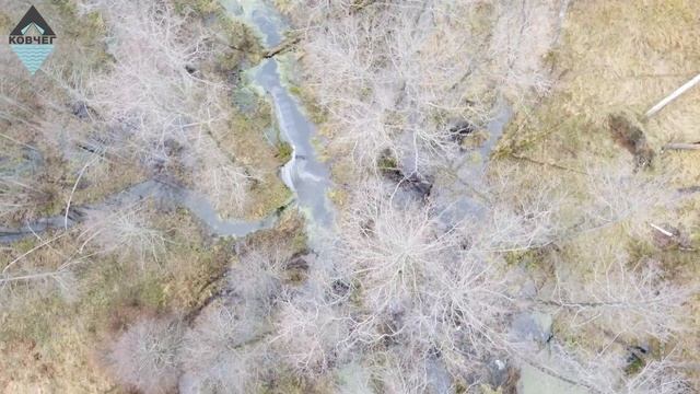 Поход к бобровой плотине в истоках Желемы смотреть онлайн