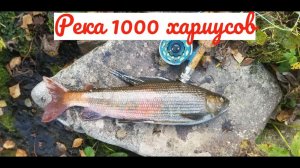 Река 1000 хариусов | Поход по Кузнецкому Алатау