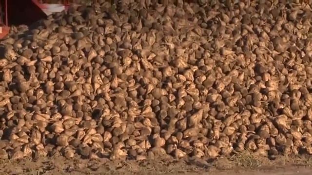 Необычные машины и современное оборудование|Awesome in agriculture|ATW смотреть онлайн