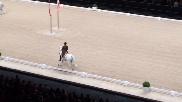 Behind the scenes with the Spanish Riding School of Vienna смотреть онлайн