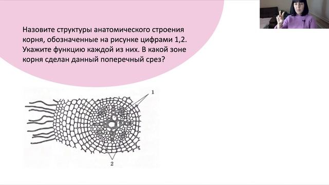 Разбор 3 варианта из нового Рохлова 2024 ? смотреть онлайн