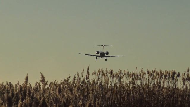 (HD) Plane Spotting at Philadelphia International Airport 12/20/21 смотреть онлайн