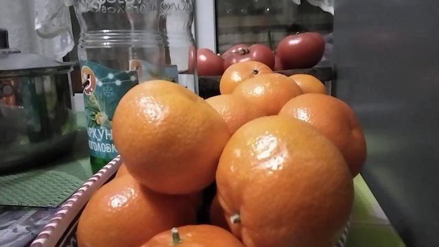 Что делать если кота поразили блохи смотреть онлайн