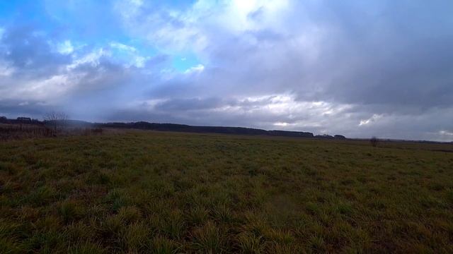 КОРЗИНА ГРИБОВ В НОЯБРЕ в ЧИСТОМ ПОЛЕ! РЯДОВКА ЛИЛОВОНОГАЯ (СИНЕНОЖКА)! ГРИБЫ 2020! смотреть онлайн