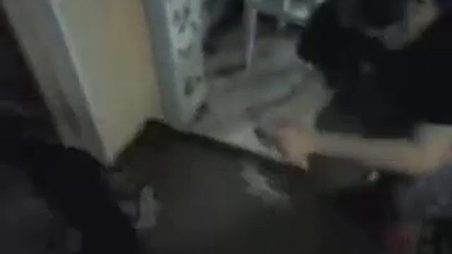 собаку прет от фантиков смотреть онлайн