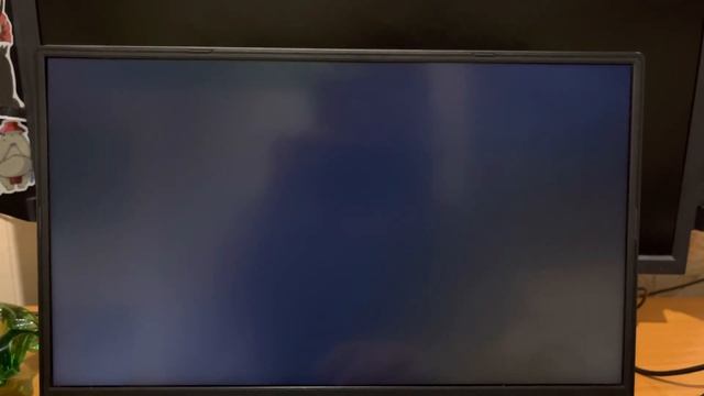 Проверка на битые пиксели смотреть онлайн