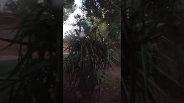 Ghost "orb" effect tutorial смотреть онлайн