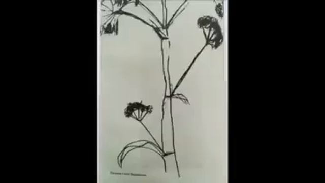 Видеоролик подготовлен преподавателем Новоафонская Школа смотреть онлайн