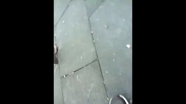 учимся прыгать на КУЗНЕЧИКИ смотреть онлайн