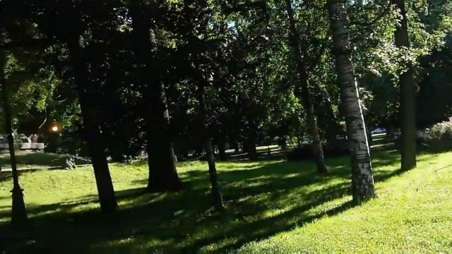 Александровский парк в Санкт-Петербурге смотреть онлайн