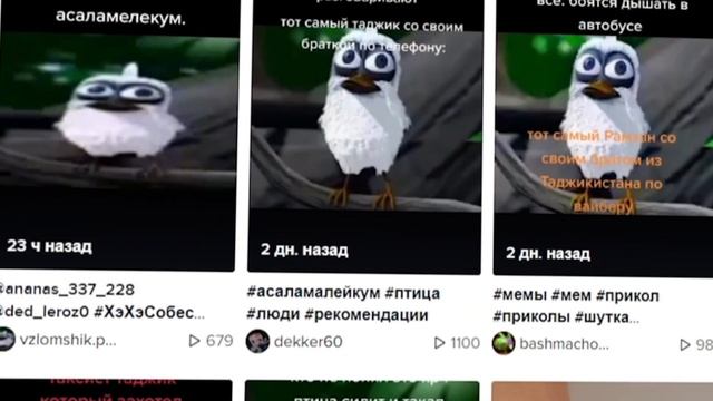 Белая птица кричит САЛАМ АЛЕЙКУМ — ОТКУДА МЕМ ? смотреть онлайн