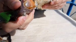 Вяленый весенний Астраханский Лещ