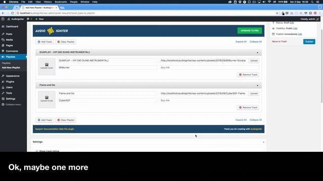 How to Add Audio Player in WordPress with AudioIgniter WordPress plugin смотреть онлайн