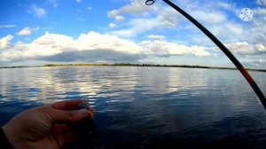 Спиннинг АРГУМЕНТ. Год в работе. Мои впечатления.Грамотное  применение флюр-карбонового поводка