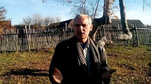 Как быстро увеличить пасеку