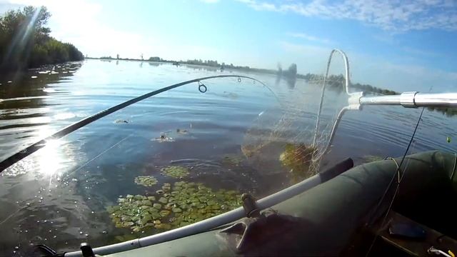 Ловля щуки в лопухах, рыбачим на озере боровом смотреть онлайн