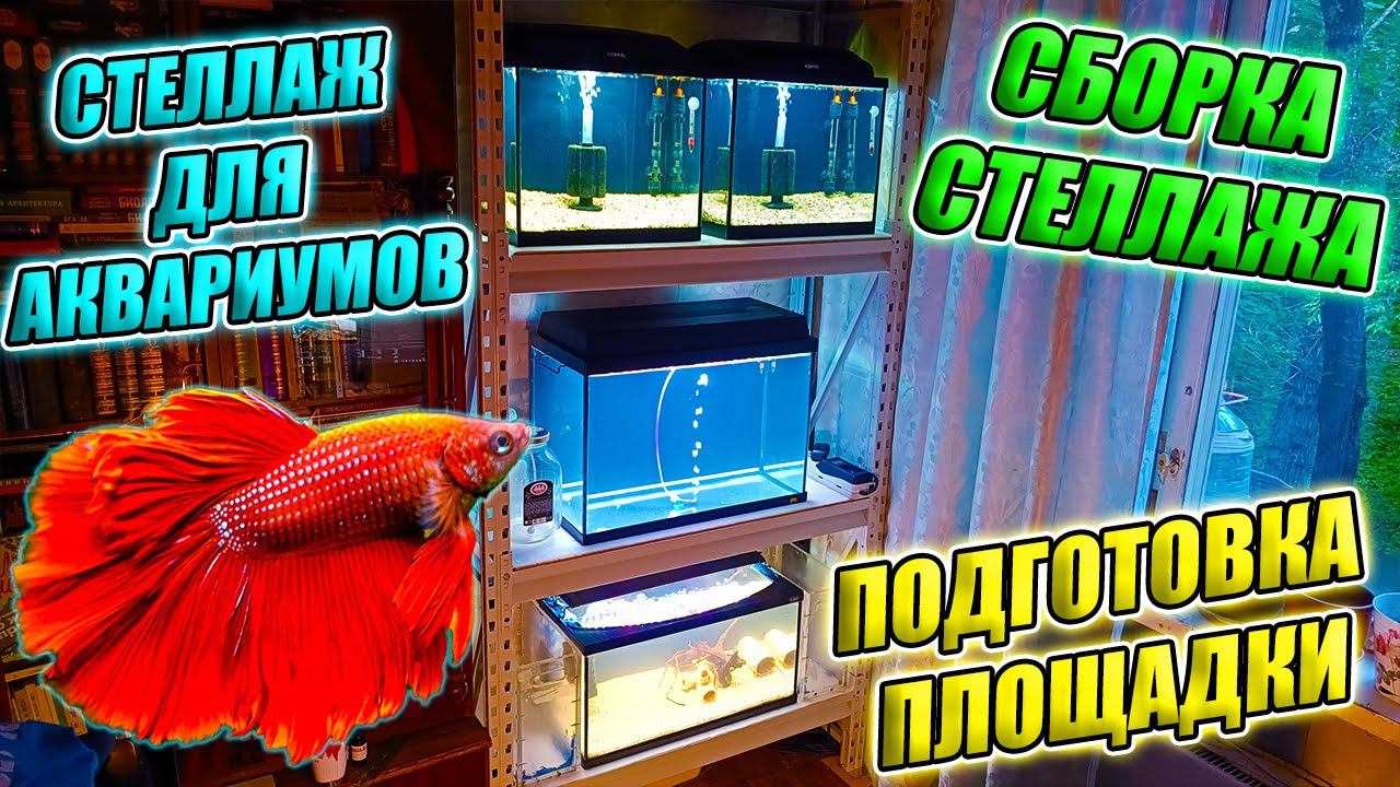 Стеллаж для аквариумов. Подготовка и Сборка стеллажа. смотреть онлайн