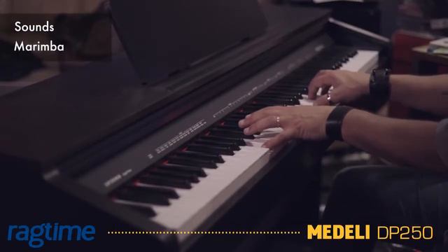 MEDELI DP250 - overview смотреть онлайн