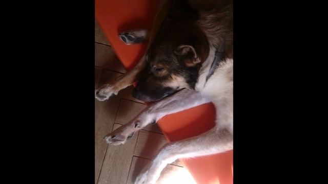 Кто-то дрыгает ногой смотреть онлайн