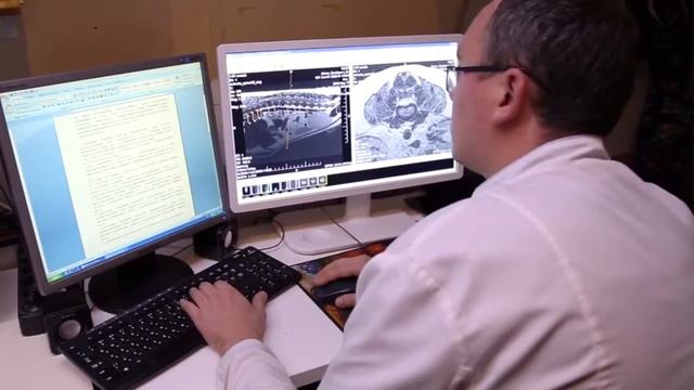 Что делать, если у собаки отказали задние лапы? смотреть онлайн