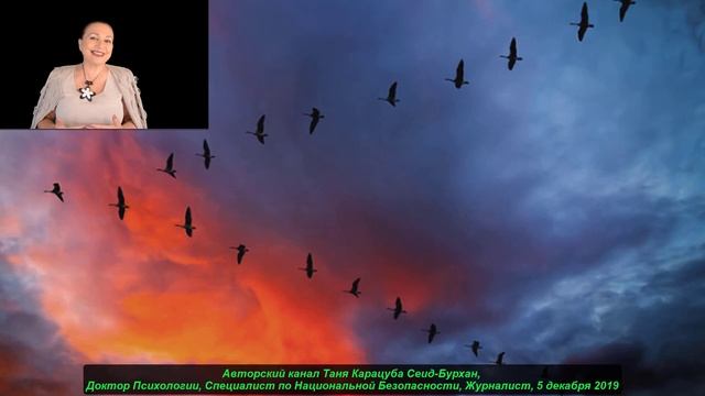 Почему птицы летят клином ? смотреть онлайн