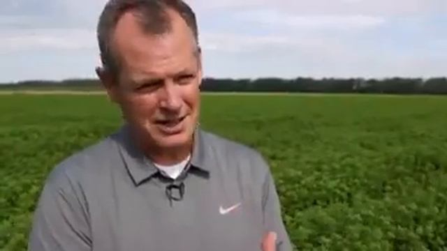 Лаванда смотреть онлайн