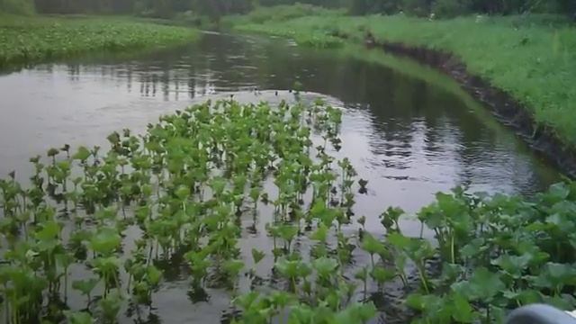 Рыбалка на заостренке 2010 смотреть онлайн