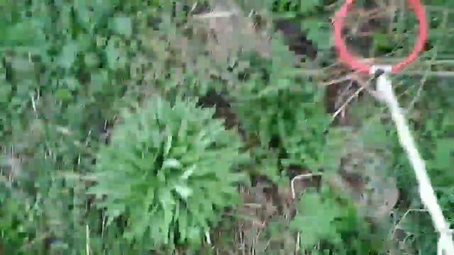 Коп Металлолома на третьем Колхозе Часть 2! Нашел диск от заднего моста Газ-53! смотреть онлайн