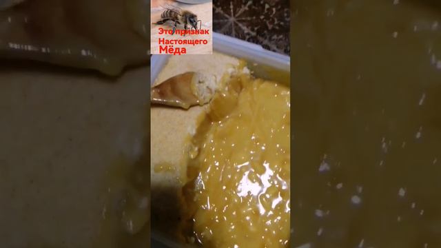 Водные экскурсии: открытие мистерей природы