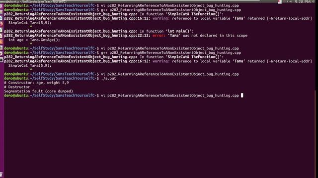 C++ | Returning A Reference to a Nonexistent Object, Segmentation fault core dumped смотреть онлайн