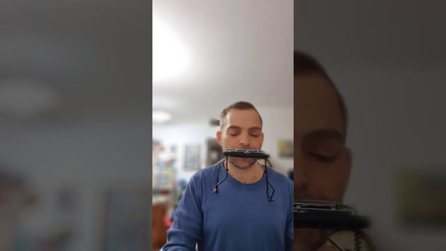 Shape Of My Heart - Harmonica and Piano смотреть онлайн
