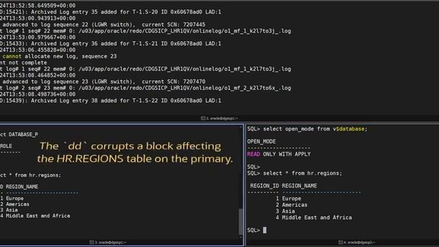 Oracle Active Data Guard Automatic Block Repair - Demo смотреть онлайн