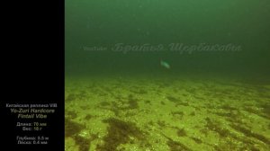 СЕКРЕТЫ АНИМАЦИИ  реплики Yo-Zuri Hardcore Fintail Vibe. Подводные съемки на 5.5 м