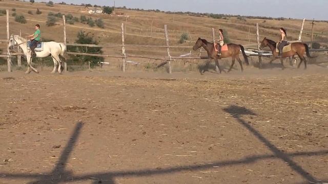 Конный клуб Кубанка. Тренировка, езда сменой смотреть онлайн