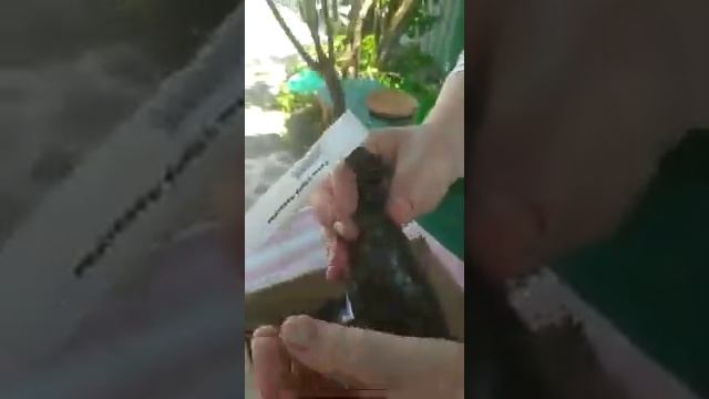 Bekker.kz Распаковка розы плетистые и спрей розы, гладиолусы, фрезии смотреть онлайн