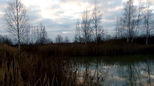 Содержание коз в осенний переод, Чешской ,Нубийской,и поместной породы смотреть онлайн
