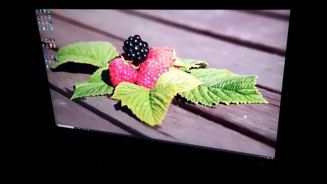 Philips 288E2UAE (288E2E) Viewing Angles смотреть онлайн