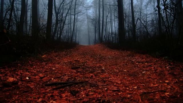 Harold Torsen - На Пути В Неизбежность смотреть онлайн