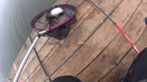 Безлимит, ловля пассивной форели или как найти золотой ключик.