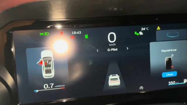 Review Of The 2024 Geely Manjaro #carreview