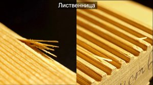 #Мифы о террасе из лиственницы. #Минусы #деревянной #террасы по сравнению с #ДПК